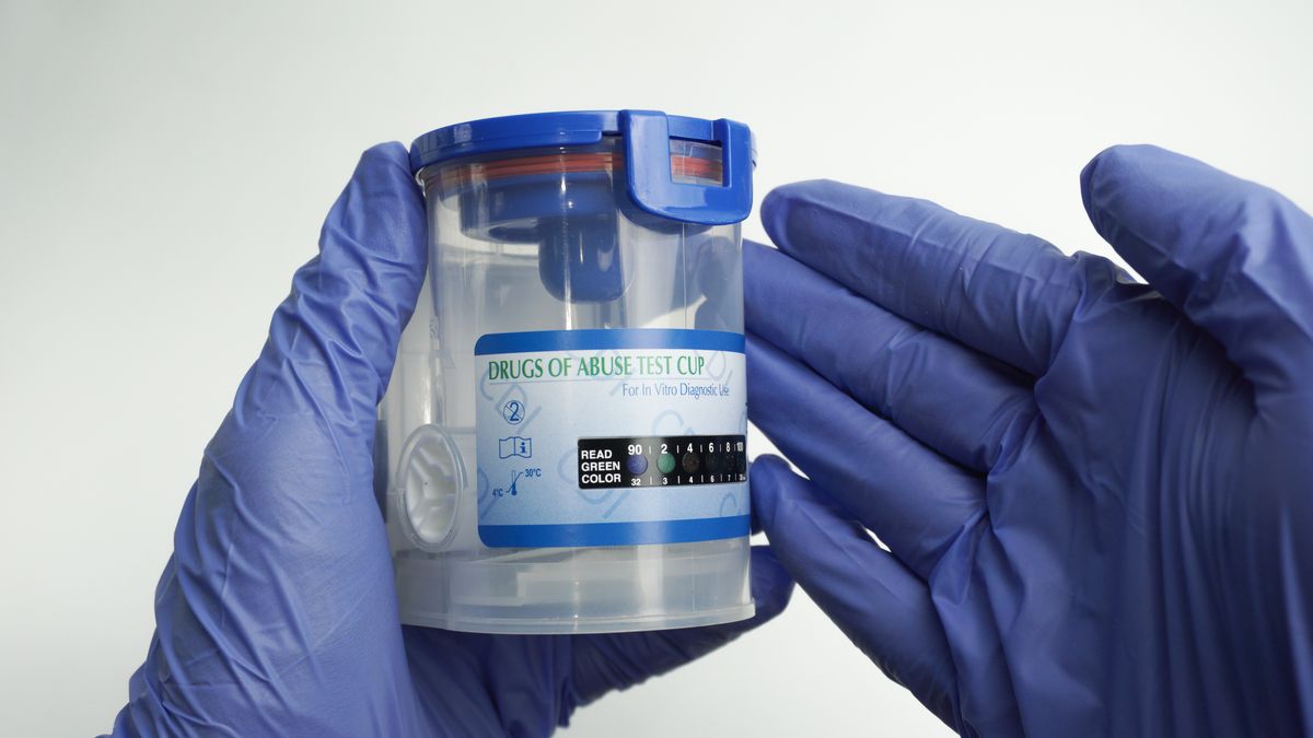 Gloved hands holding a drug test cup